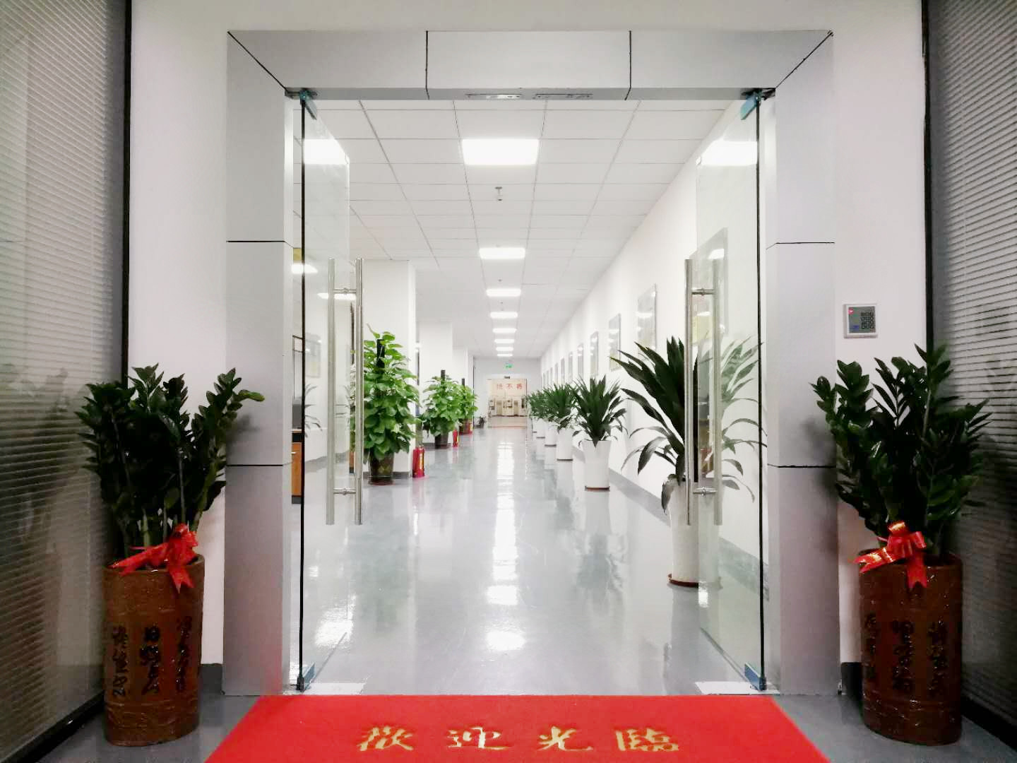 榴莲视频下载二维码科